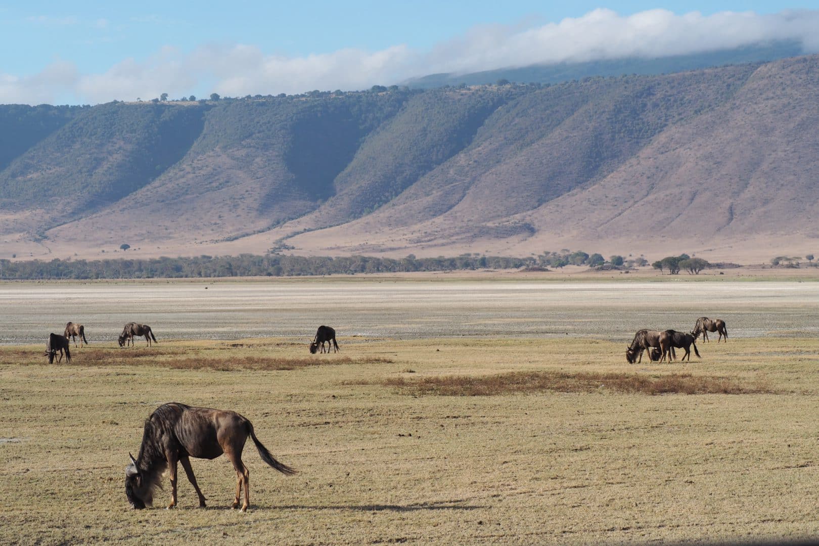 Tanzania elegido Mejor Destino Turístico de África 2021