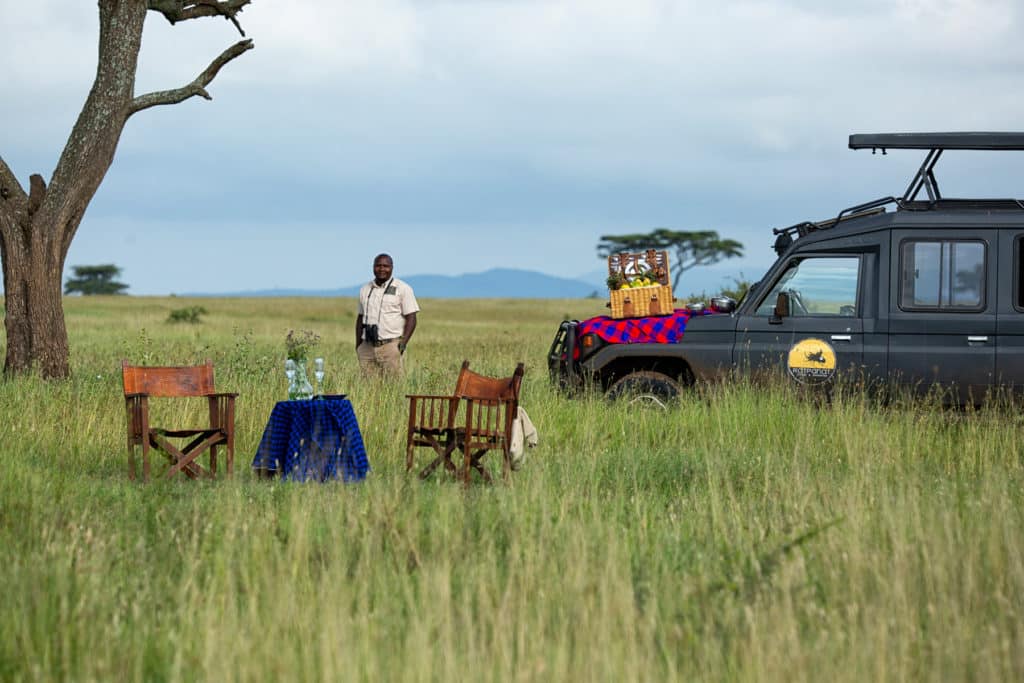 Picnic-Serengeti-Ratpanat