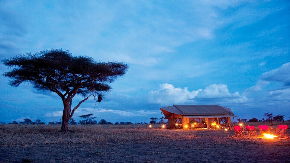 Safari camps de Kenia y Tanzania- Pumzika-Luxury-Safari-Camp